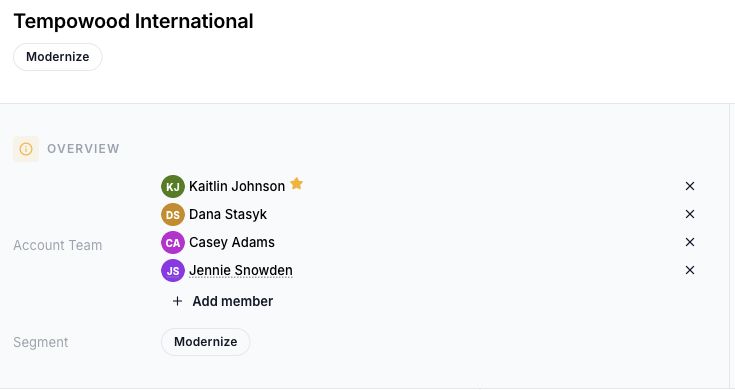 Use the client dashboard to review the account team, identify primary owners, and add or unassign members.